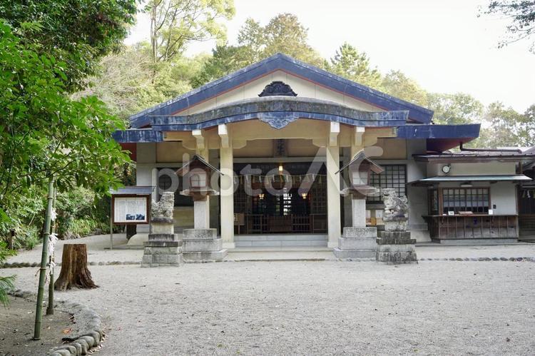 三重　津八幡宮　本殿 津八幡宮,八幡神社,八幡宮の写真素材