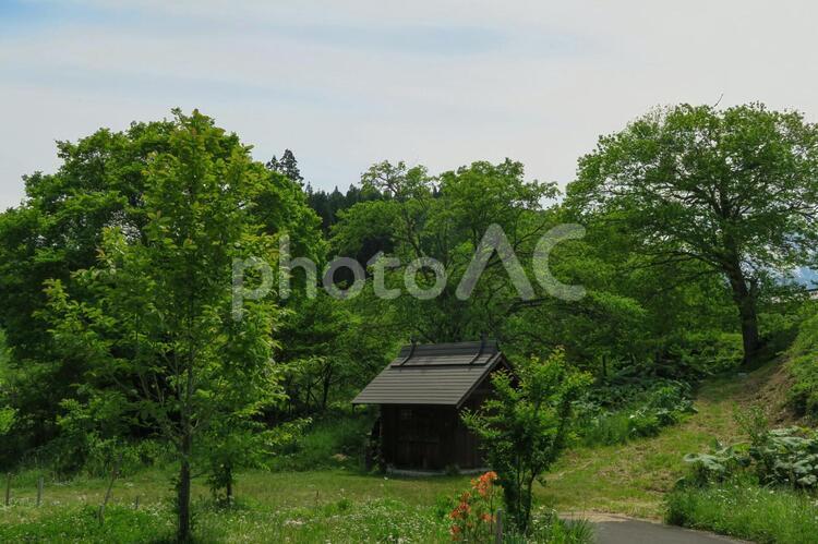 新緑の水車小屋 水車小屋,小屋,建物の写真素材