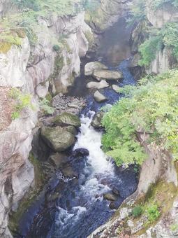 夏の側 夏の側の写真