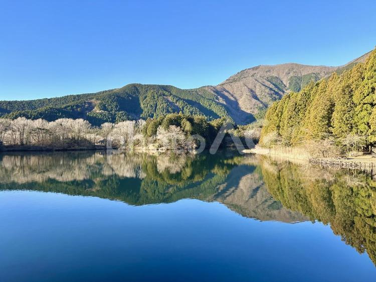 鏡のような朝の田貫湖 田貫湖,湖面,反射の写真素材