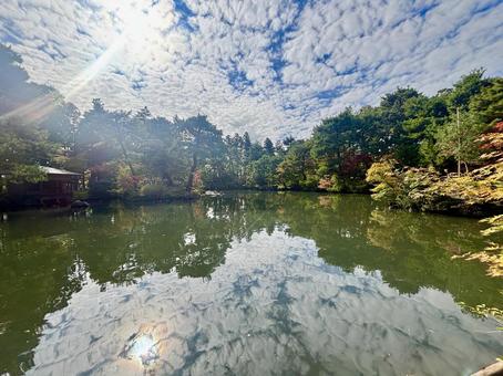 池に映る空と木々 池,湖,沼の写真素材