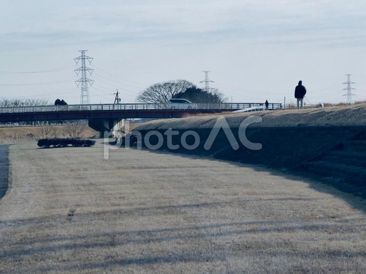 堤防を犬と散歩する人 犬,犬の散歩,夕方の写真素材