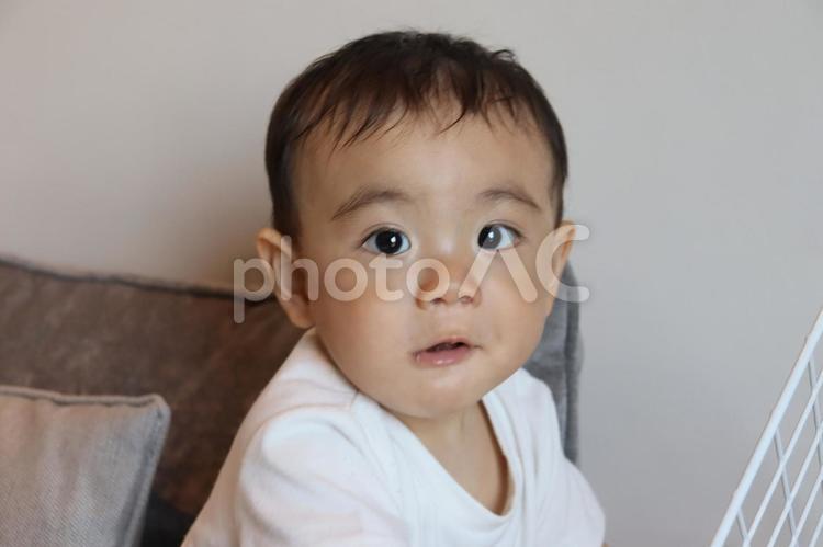 こちらを見る赤ちゃん 赤ちゃん,ベビー,男の子の写真素材