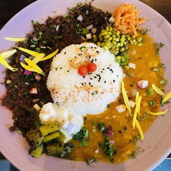 スパイスカレー スパイスカレーの写真