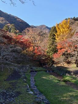 岐阜県-養老公園-紅葉 養老公園,公園,川の写真素材