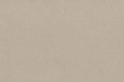 ベージュの無地背景素材の写真