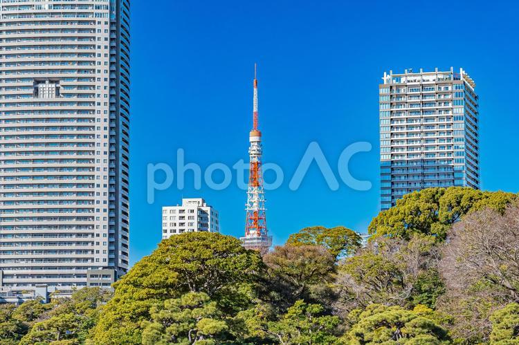 東京　浜離宮恩賜庭園の風景 東京,東京都,浜離宮恩賜庭園の写真素材