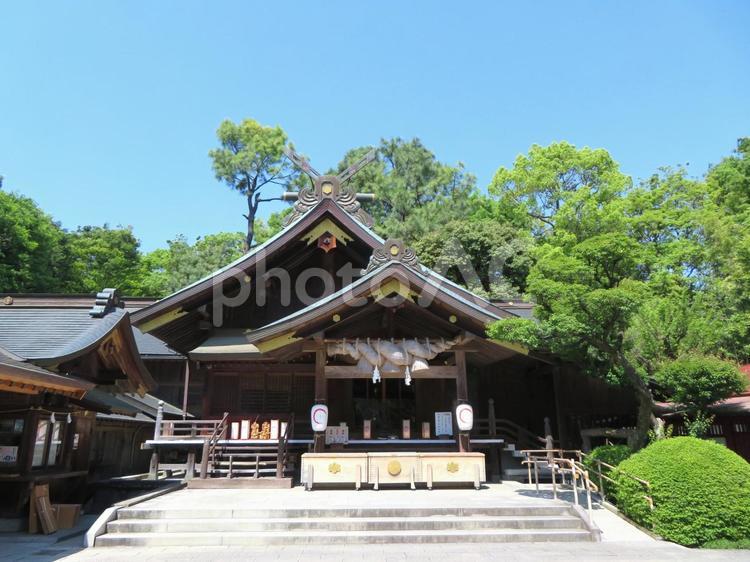 秦野市出雲大社相模分祠 拝殿,出雲大社相模分祠,神社の写真素材