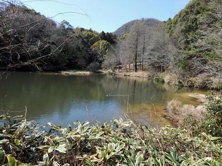 甲山森林公園ミクルマ池 春2 甲山森林公園ミクルマ池 春2の写真