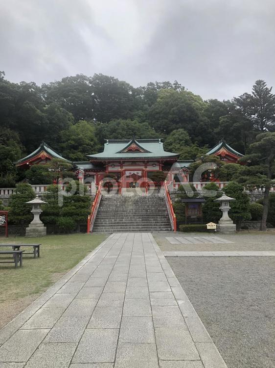 栃木県　神社 神社,栃木,日本の写真素材
