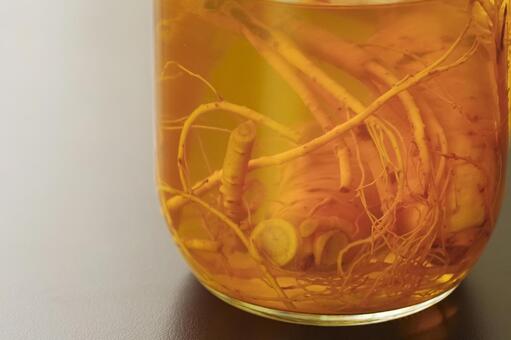 高麗人参を漬け込んだ薬用酒の瓶 薬膳,漢方,和漢の写真素材