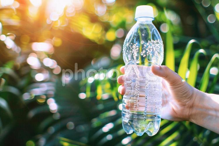 夏の光と水分補給 夏,ペットボトル,清涼感の写真素材