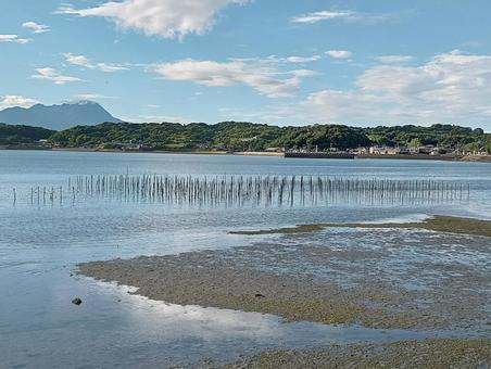 海苔の養殖場 海苔の養殖場の写真
