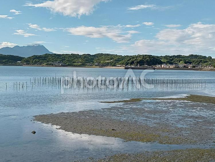 海苔の養殖場 海苔,養殖場,熊本県の写真素材