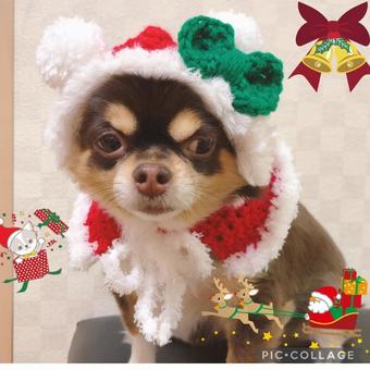 It's Christmas, JPG It's Christmas, JPG