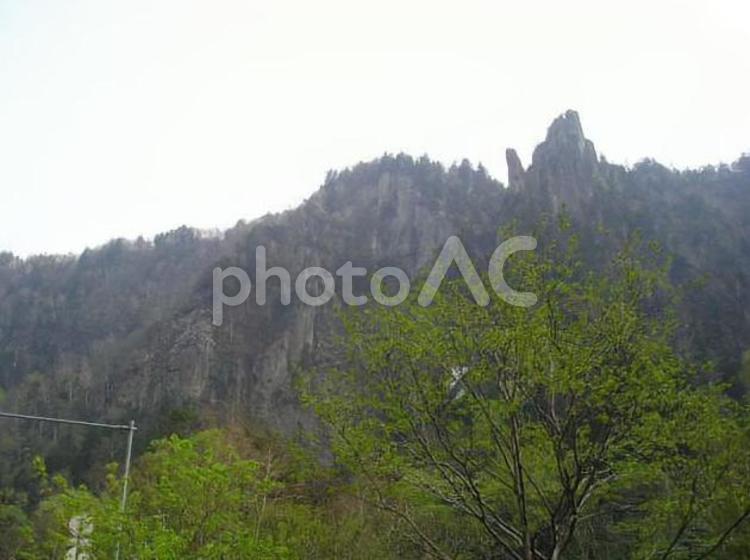 国道39号沿線　　北海道 5月,北海道,原生林の写真素材