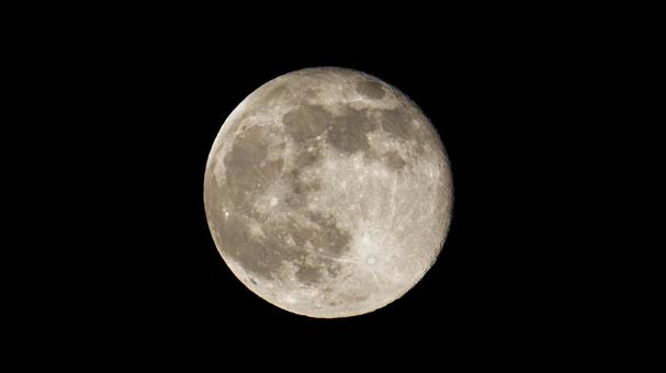 月　2025.11.6 月齢15.6 満月,スーパームーン,月齢の写真素材