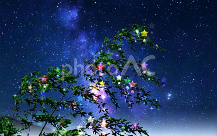 イメージ素材/星空・七夕飾り 七夕飾り,星空,七夕の写真素材