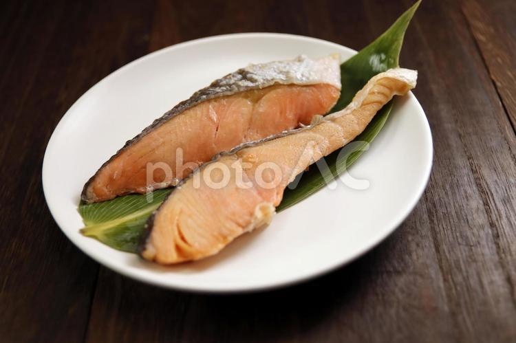 焼き鮭の一皿 焼き鮭,鮭,魚料理の写真素材