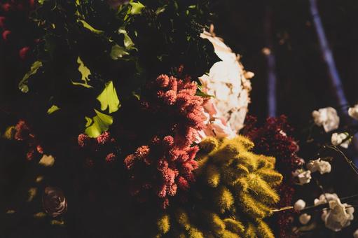 ドライフラワー ドライフラワーの写真