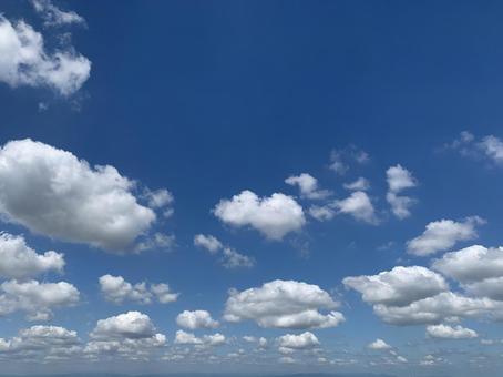 小さい雲がいっぱいの夏の空 小さい雲がいっぱいの夏の空 夏空,夏の空,空の写真素材