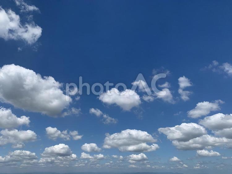 小さい雲がいっぱいの夏の空 夏空,夏の空,空の写真素材