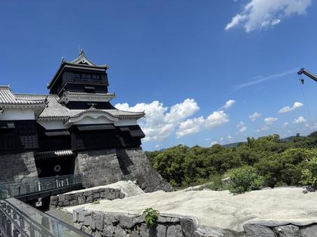 熊本城 熊本城 城,熊本,熊本城の写真素材