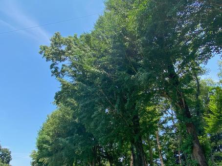 北本市子供公園 北本市子供公園の写真