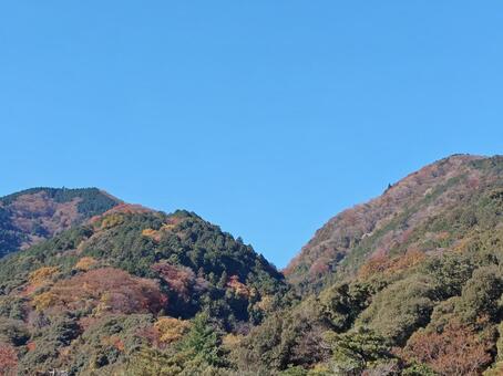 岐阜県-養老公園からの風景 養老公園,公園,木の写真素材
