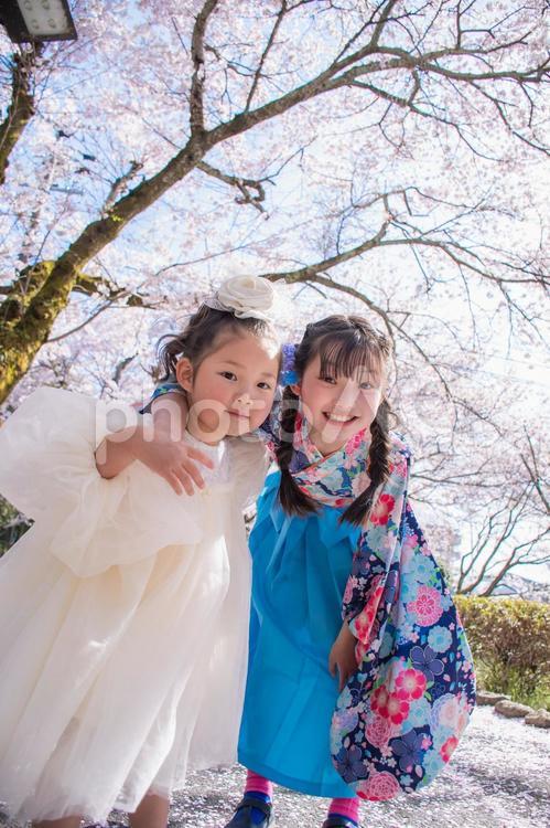 桜と姉妹 袴,春,桜の写真素材