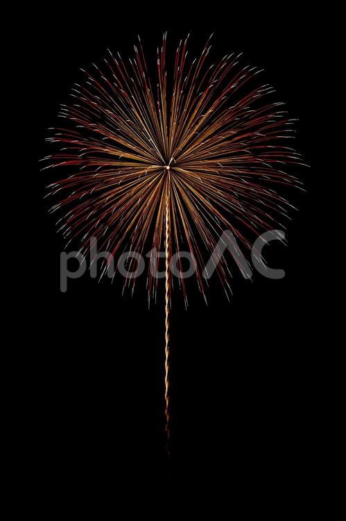 夜空に咲く打ち上げ花火 打ち上げ花火,花火,はなびの写真素材
