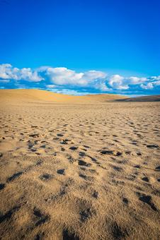 鳥取県　鳥取砂丘の風景 鳥取砂丘,日本の風景,自然の写真素材