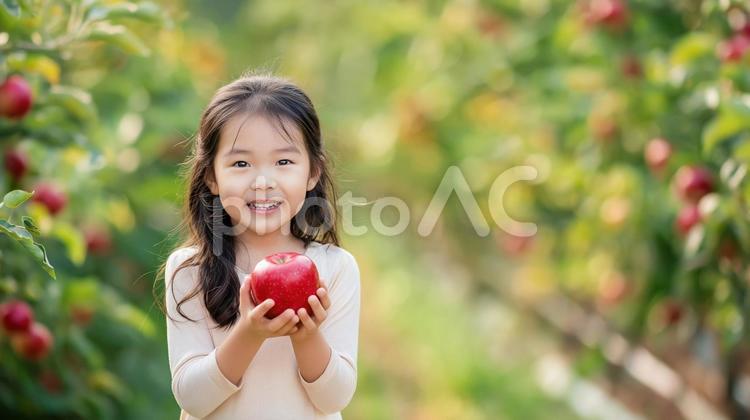 赤いリンゴを持つ女の子と果樹園りんご狩り りんご狩り,りんご,赤いの写真素材
