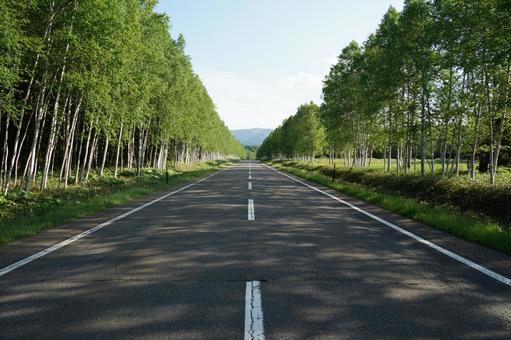 高原の一本道 高原の一本道 北海道,十勝三股,ドライブの写真素材