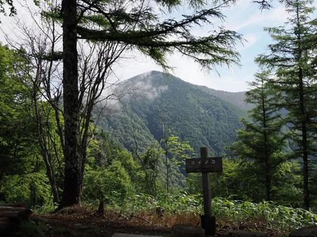 コイノコ山頂 コイノコ山頂の写真