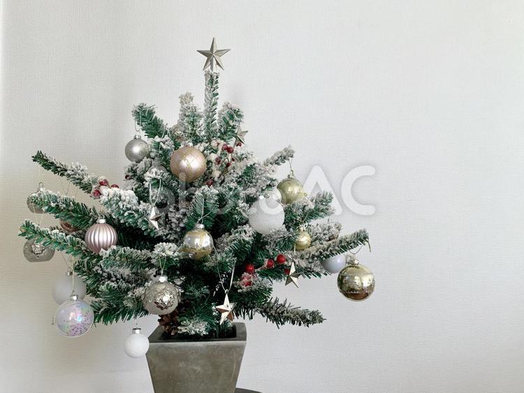 クリスマスツリー　スノーホワイト　横全体 クリスマス,xmas,ホワイトの写真素材