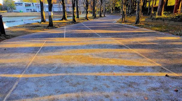 冬の道 冬,道,道路の写真素材