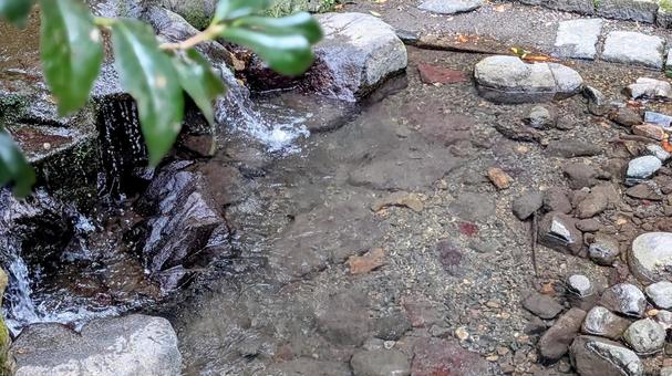 夏の涼、清らかな水の流れ 夏の涼、清らかな水の流れの写真