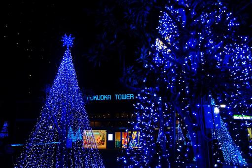 福岡タワー入口周辺のクリスマス飾り22 風景,日本,九州の写真素材