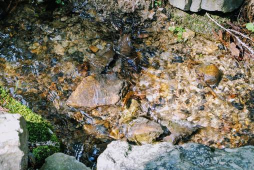 お寺の綺麗な小川 お寺の綺麗な小川の写真