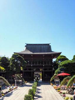 秋の笠間稲荷神社（茨城県・笠間市） 秋,笠間稲荷神社,楼門の写真素材