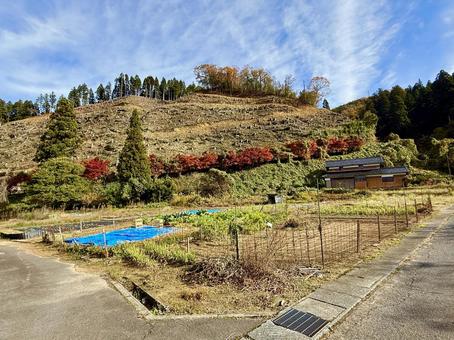福井県坂井市　冬の畑 畑,農場,竹田水車メロディーパークの写真素材