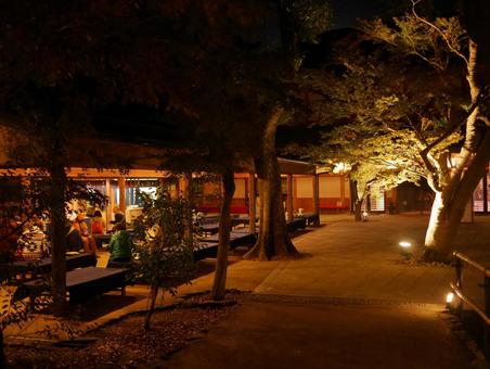 京都紅葉名所 北野天満宮 夜間特別拝観 京都紅葉名所 北野天満宮 夜間特別拝観 京都,kyoto,北野天満宮の写真素材