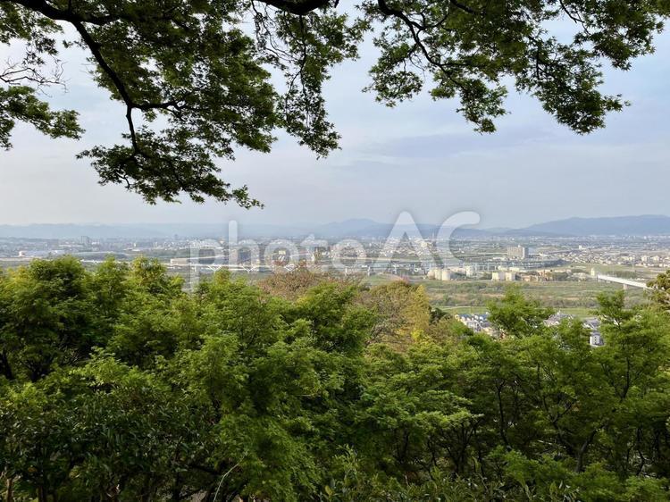 男山展望台より眺めた京都盆地 石清水八幡宮,男山,京都盆地の写真素材