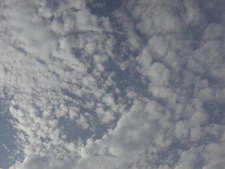 九月の雲-3 九月の雲-3の写真