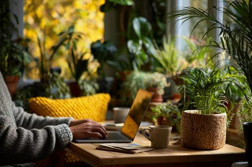 Work with concentration in a space surrounded by plants, home office, remote work, in the house service, JPG