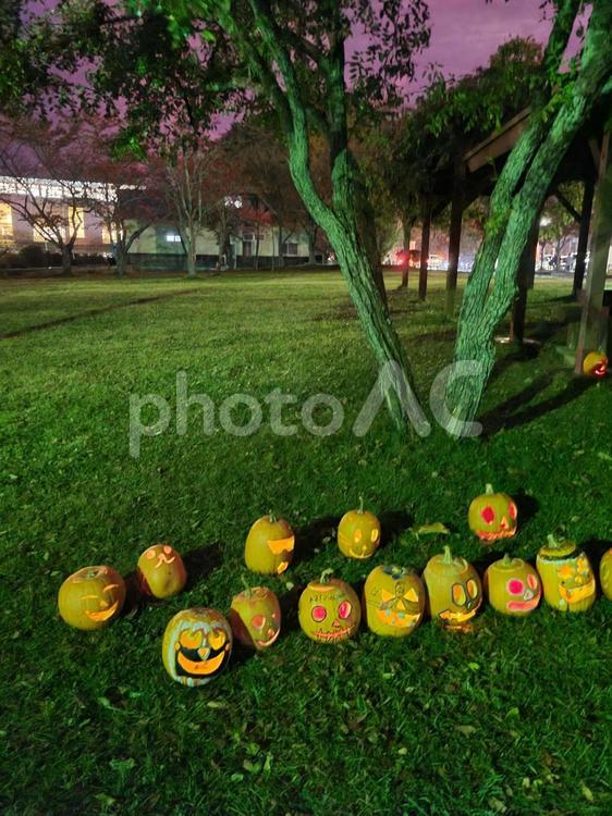 ハロウィンのかぼちゃたち ハロウィン,かぼちゃ,ジャックオーランタンの写真素材