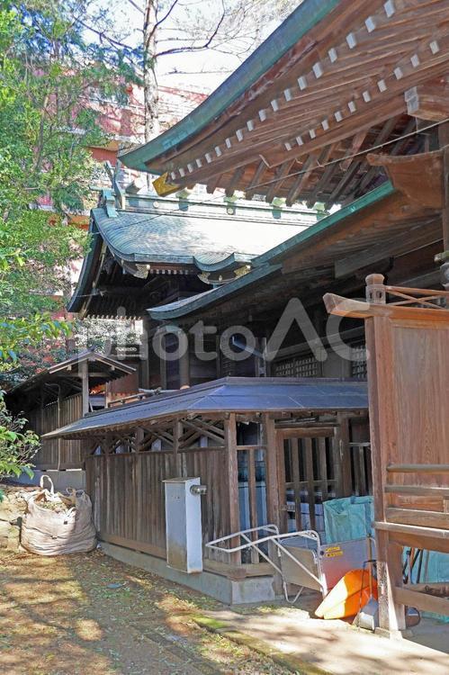 杵築大社（武蔵野） 杵築大社,大国主大神,事代主大神の写真素材