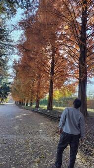 ぼーっとするおじさん 115 おじさん,男性,後ろ姿の写真素材