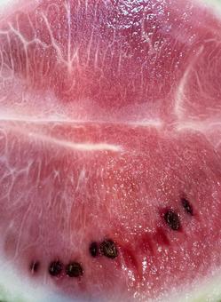 Photo, watermelon, a watermelon, fruits, 